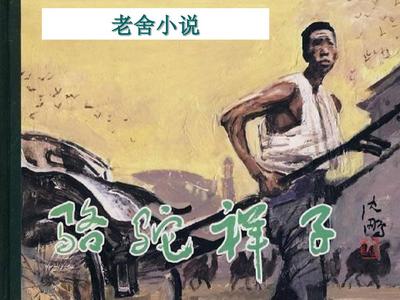 海角真实小王子视频
